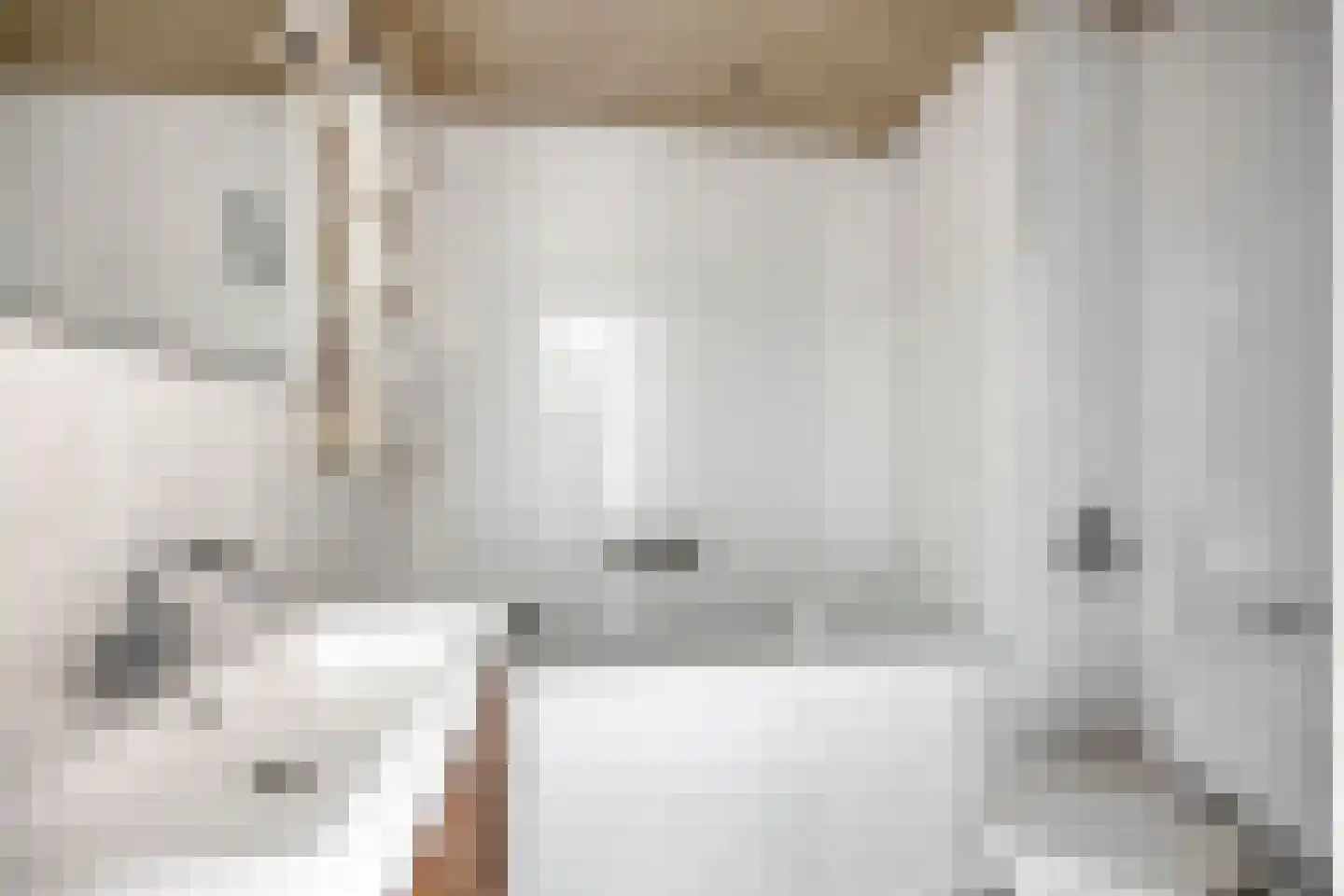 Zuidzijdsedijk 96 Hoogvliet Rotterdam thumbnail 18