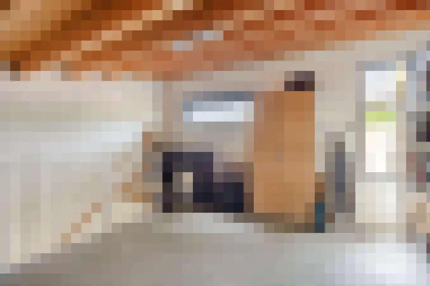Zuidzijdsedijk 96 Hoogvliet Rotterdam thumbnail 21