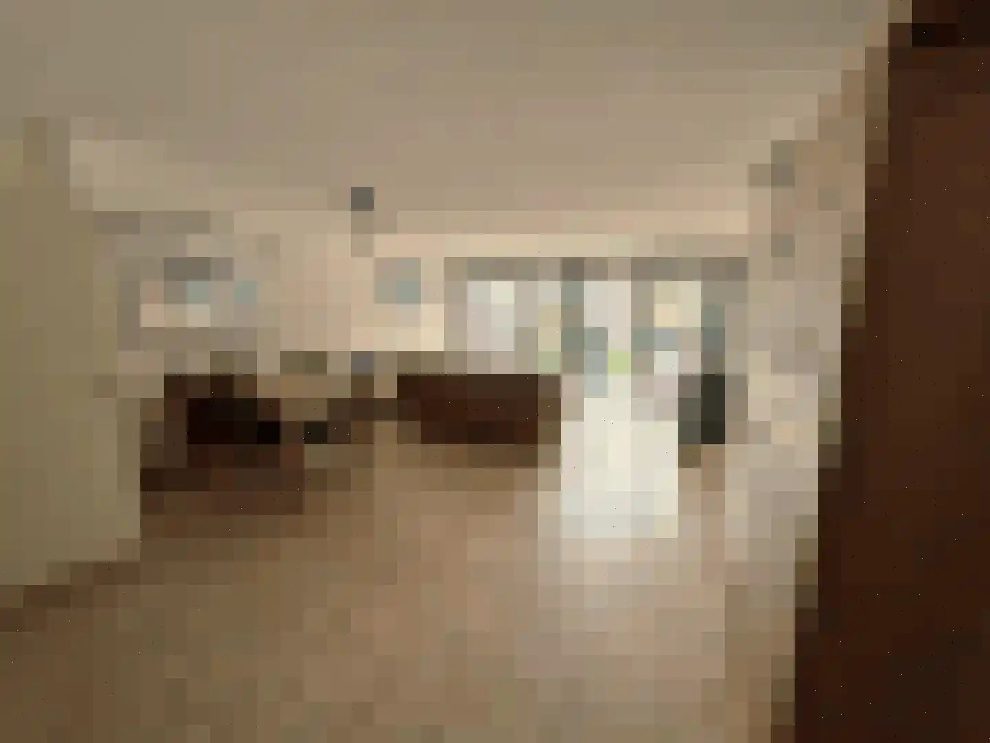 Zuidzijdsedijk 96 Hoogvliet Rotterdam thumbnail 5