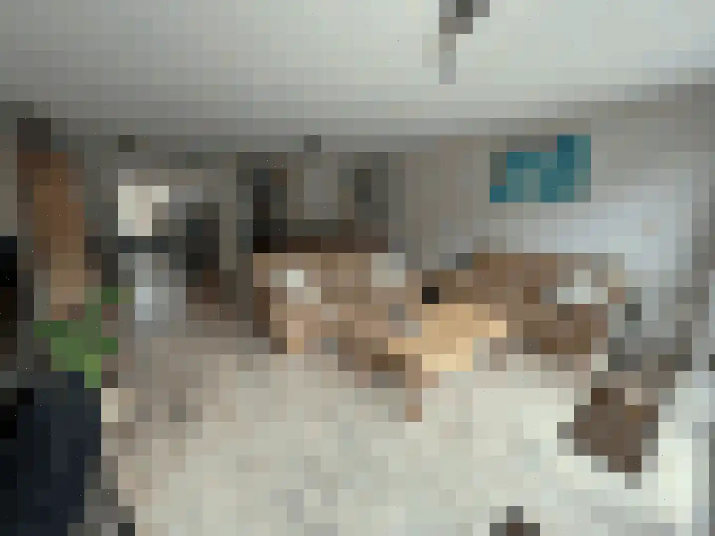 Zuidzijdsedijk 96 Hoogvliet Rotterdam thumbnail 7