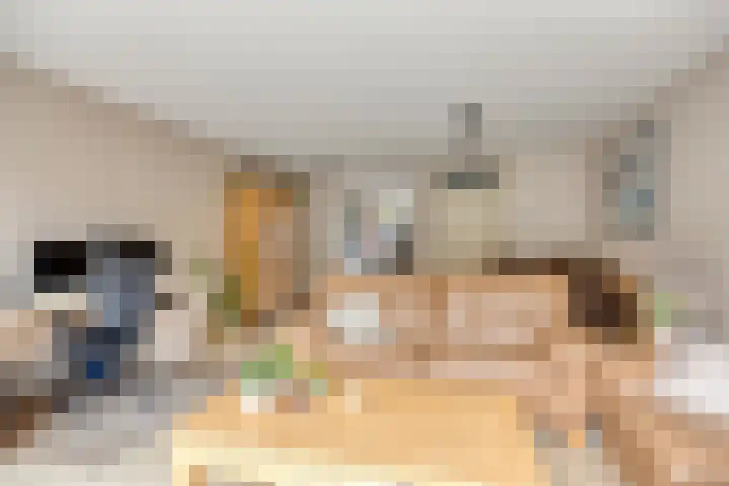 Zuidzijdsedijk 96 Hoogvliet Rotterdam thumbnail 7
