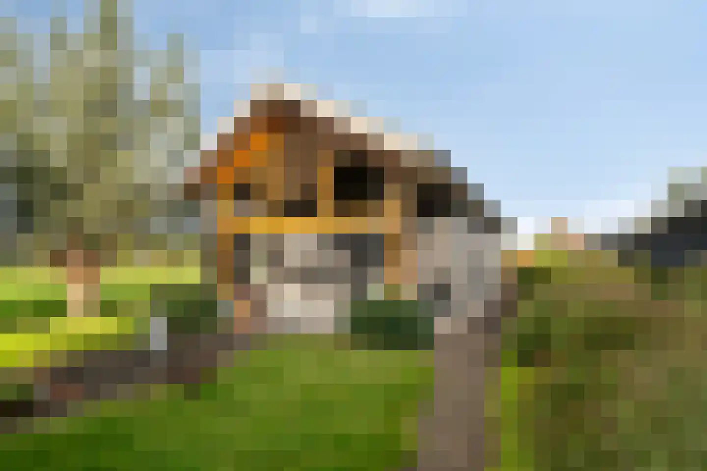 Zuidzijdseweg 146 Polsbroek thumbnail 27