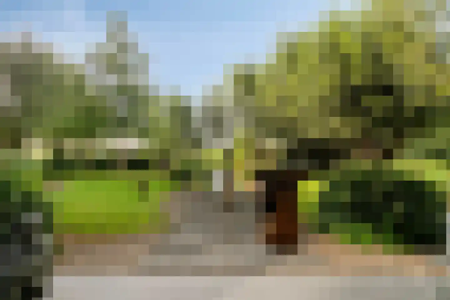 Zuidzijdseweg 146 Polsbroek thumbnail 29