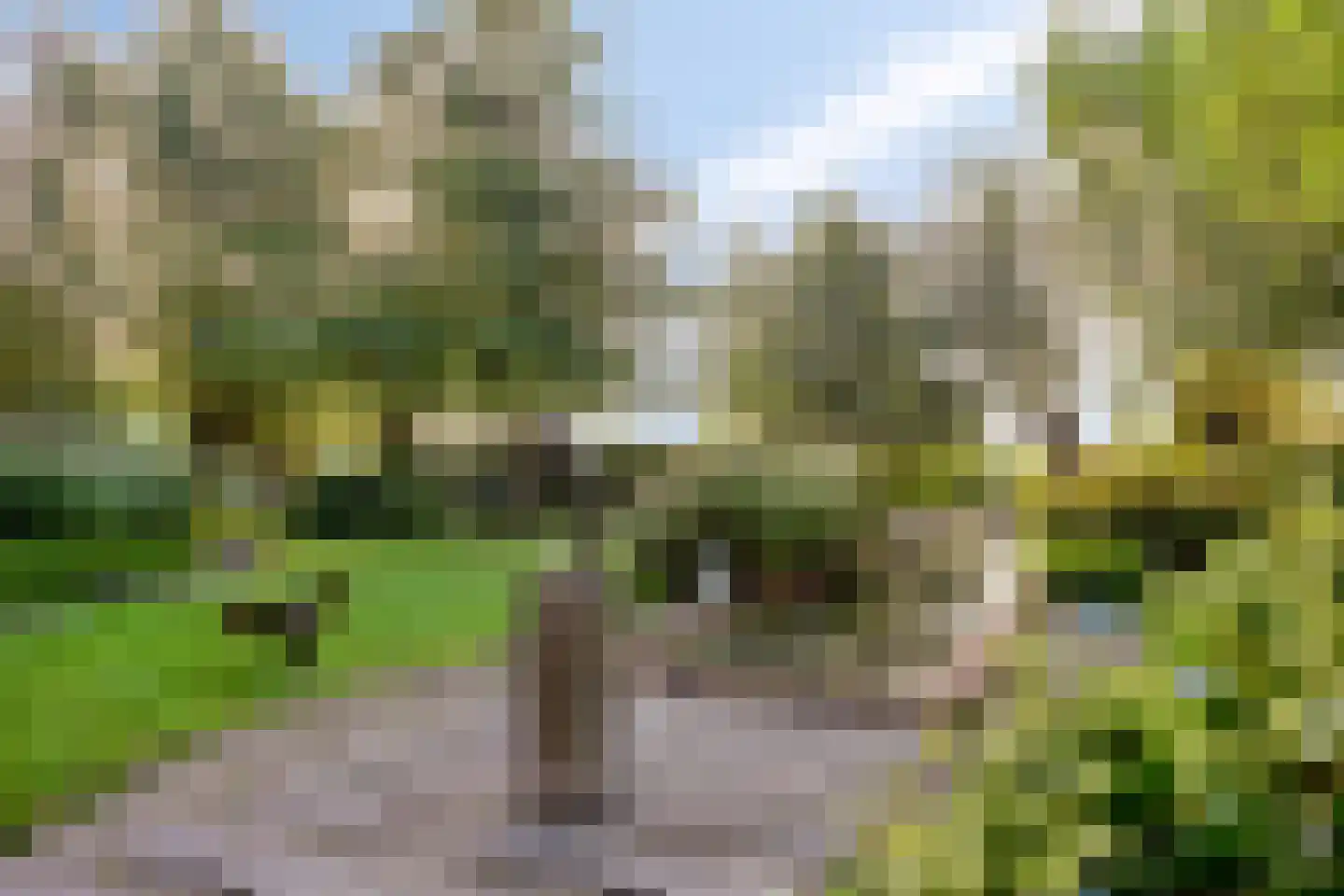 Zuidzijdseweg 146 Polsbroek thumbnail 30