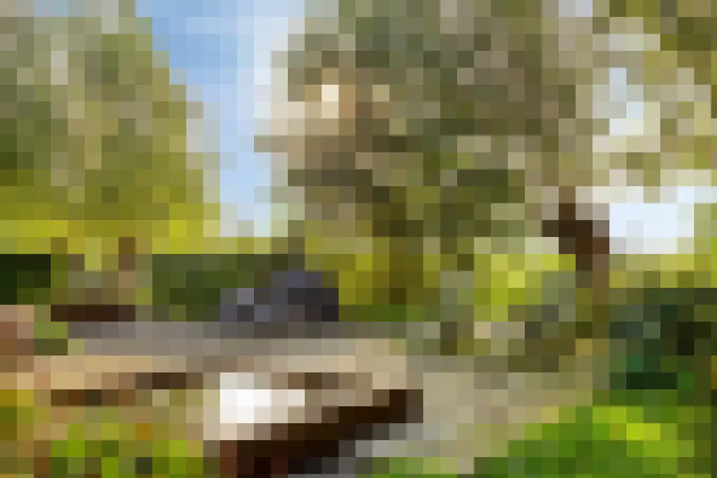 Zuidzijdseweg 146 Polsbroek thumbnail 31