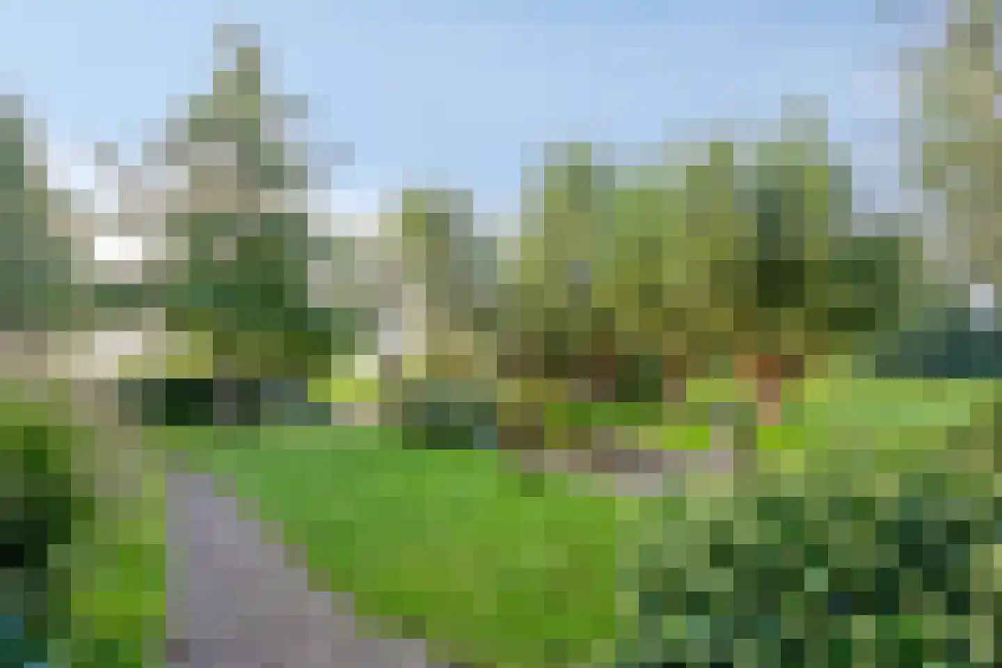 Zuidzijdseweg 146 Polsbroek thumbnail 32