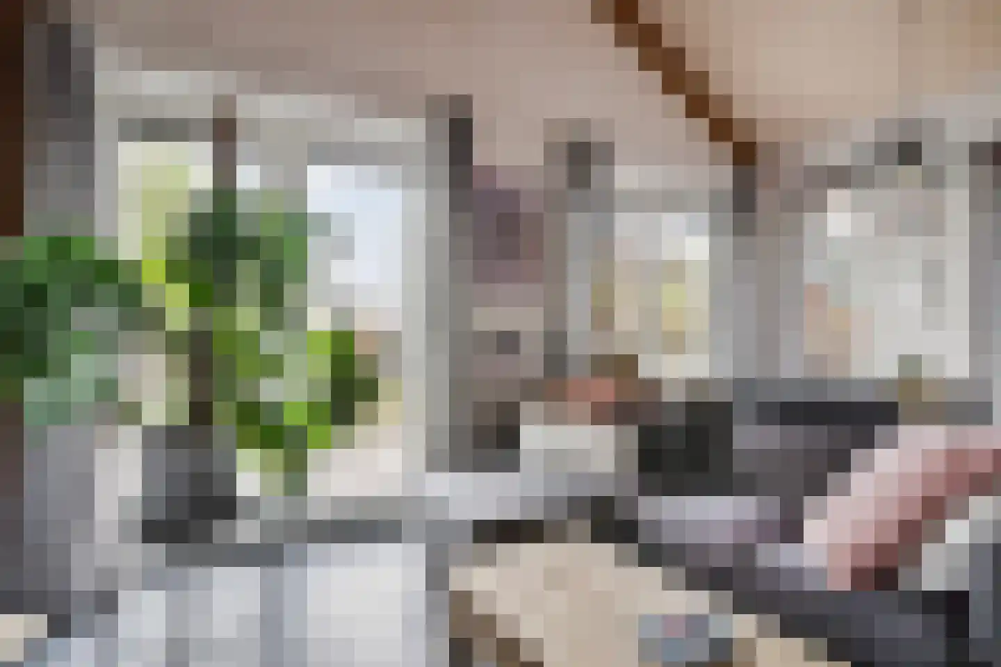 Zuidzijdseweg 146 Polsbroek thumbnail 39
