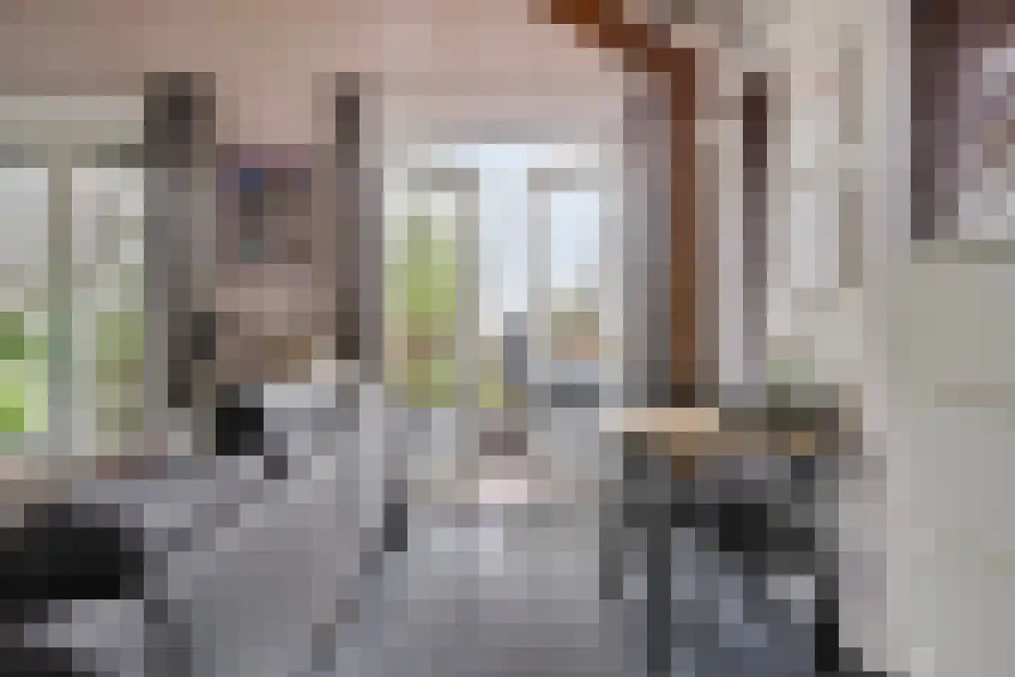 Zuidzijdseweg 146 Polsbroek thumbnail 40