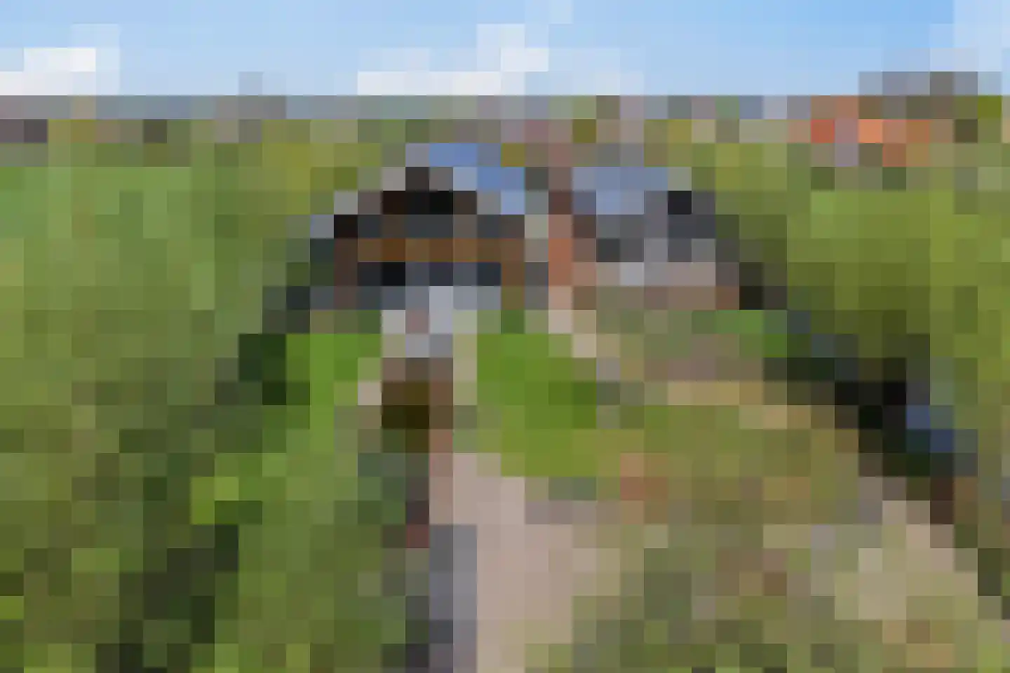 Zuidzijdseweg 146 Polsbroek thumbnail 46