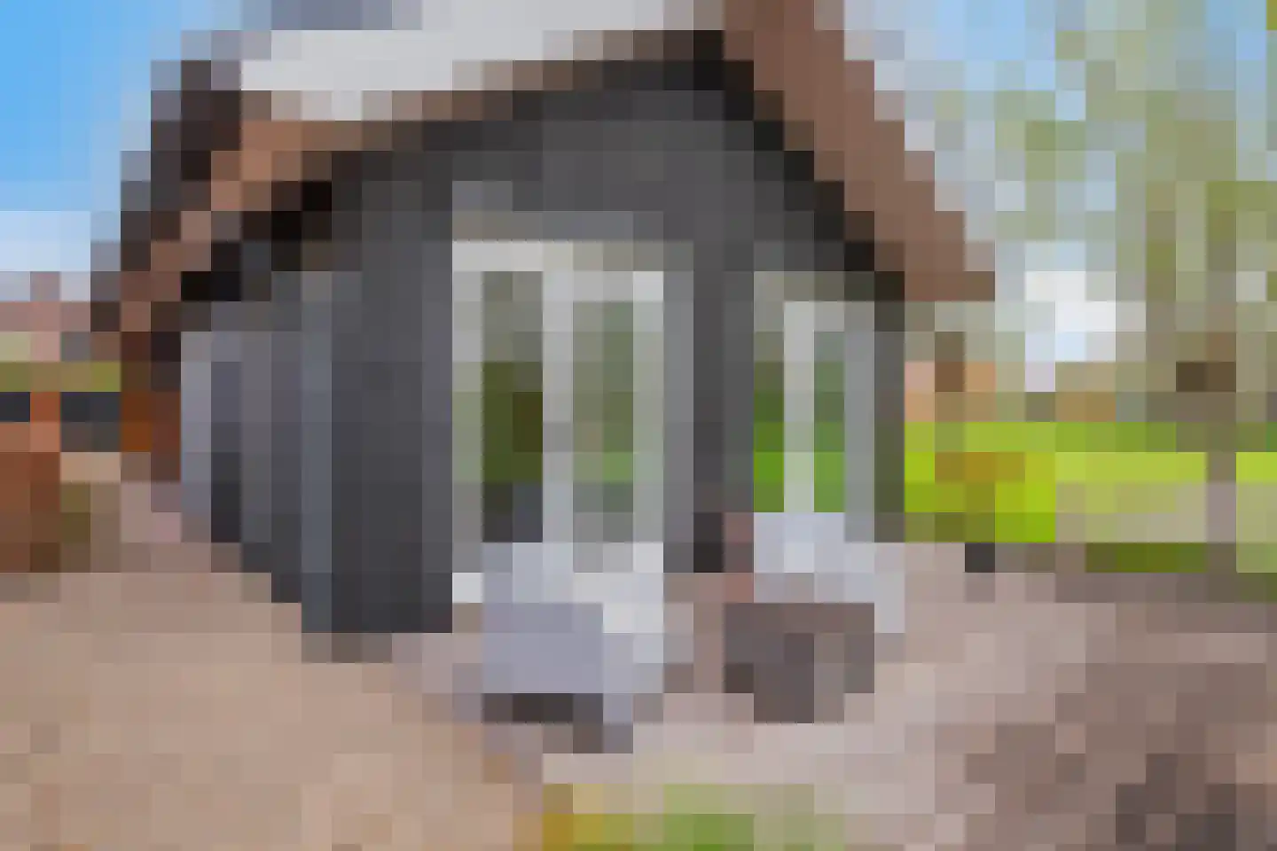 Zuidzijdseweg 146 Polsbroek thumbnail 47