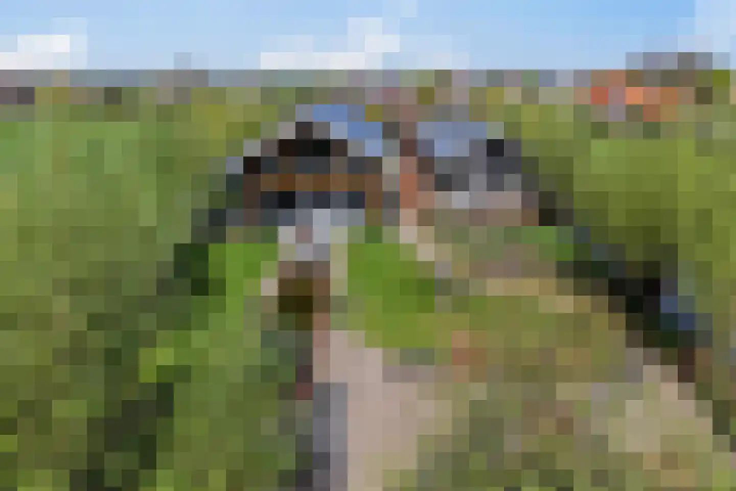 Zuidzijdseweg 146 Polsbroek thumbnail 49