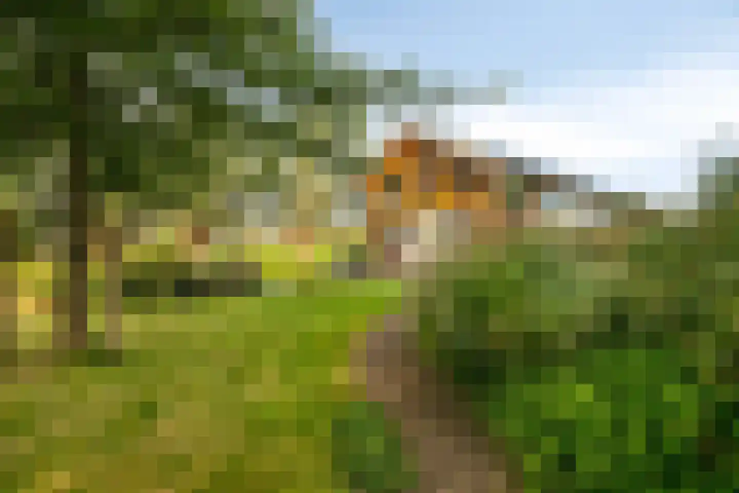 Zuidzijdseweg 146 Polsbroek thumbnail 50