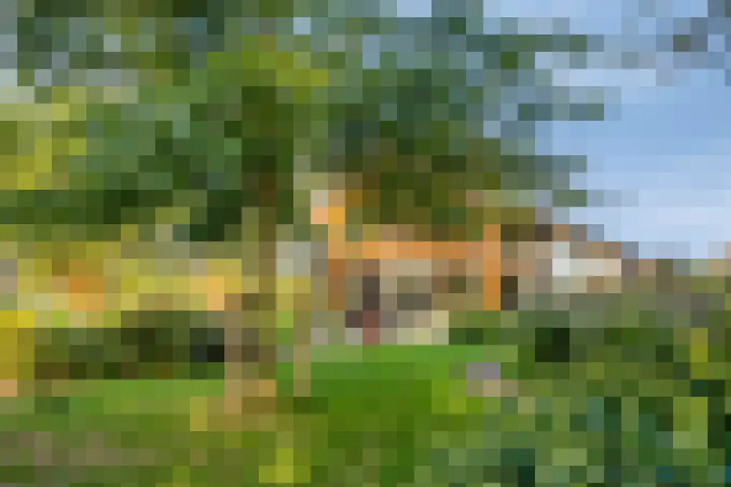 Zuidzijdseweg 146 Polsbroek thumbnail 51