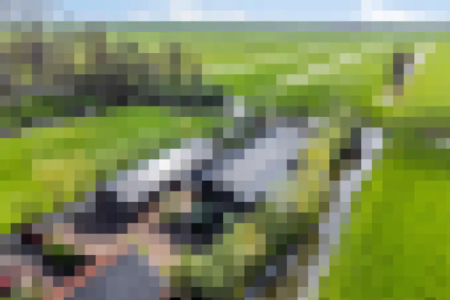 Zuidzijdseweg 146 Polsbroek thumbnail 57