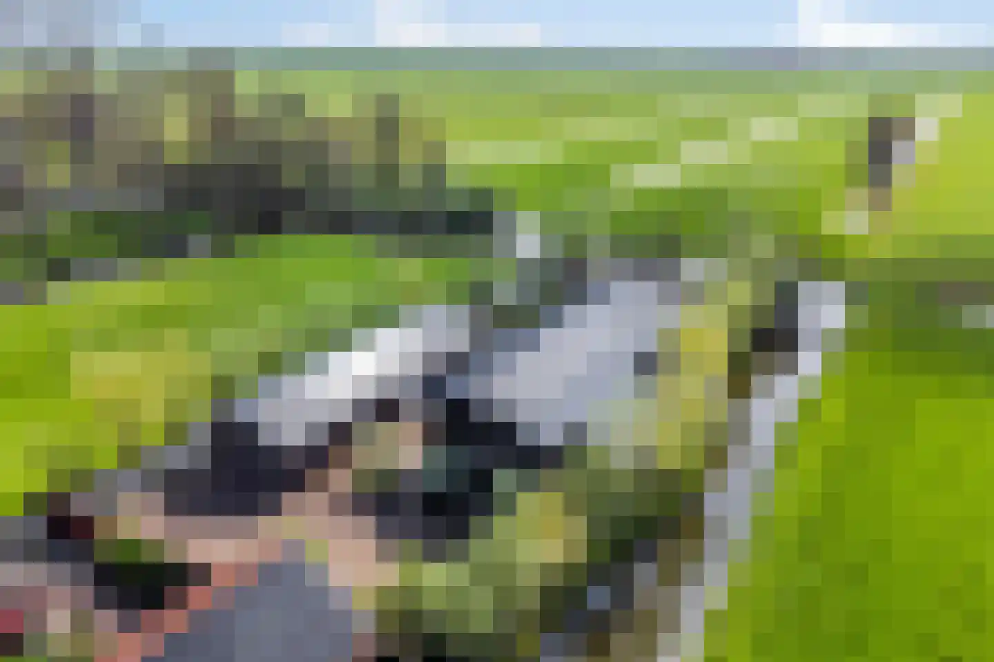 Zuidzijdseweg 146 Polsbroek thumbnail 62