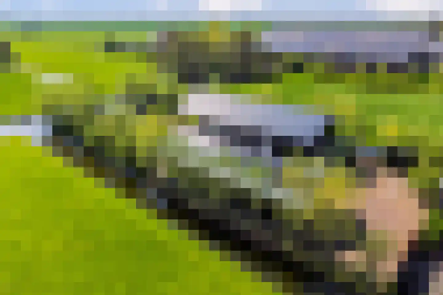 Zuidzijdseweg 146 Polsbroek thumbnail 63