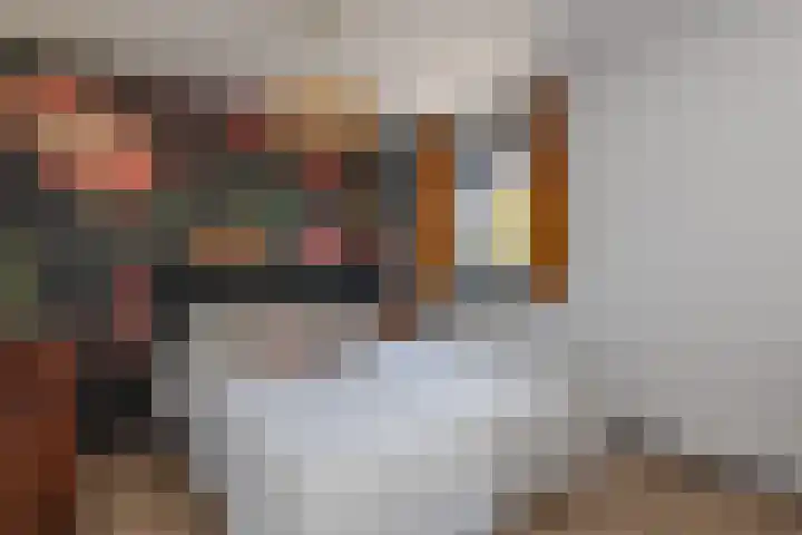 Zuidzijdseweg 192 Polsbroek thumbnail 24
