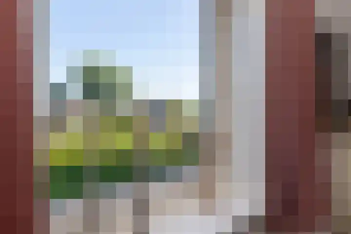 Zuidzijdseweg 192 Polsbroek thumbnail 46