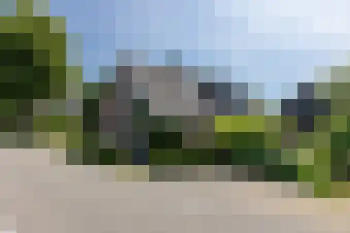 Zuidzijdseweg 192 Polsbroek thumbnail 5