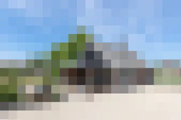 Zuidzijdseweg 192 Polsbroek thumbnail 52