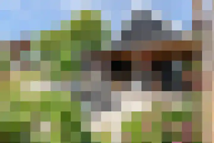 Zuidzijdseweg 192 Polsbroek thumbnail 55