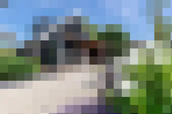 Zuidzijdseweg 192 Polsbroek thumbnail 56