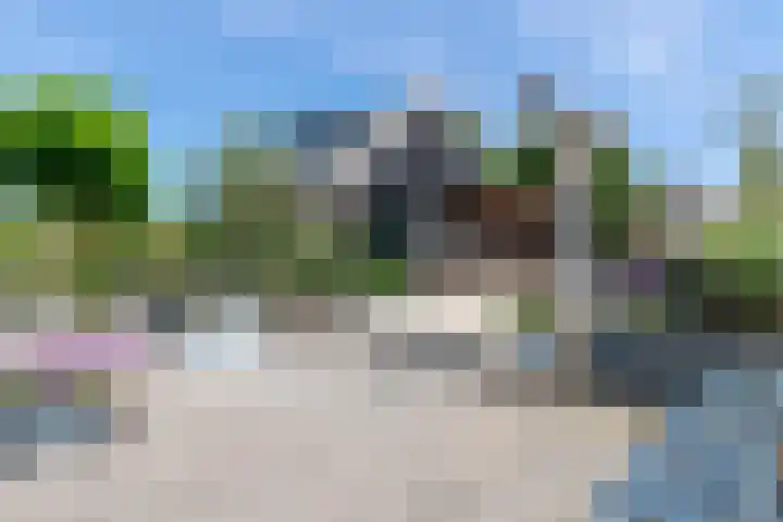 Zuidzijdseweg 192 Polsbroek thumbnail 58