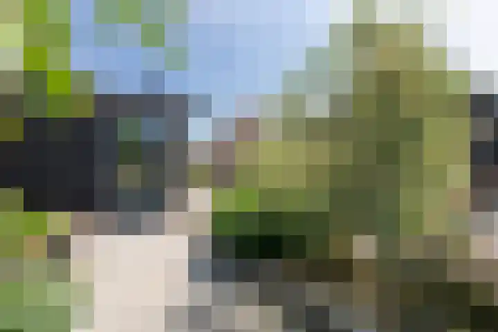 Zuidzijdseweg 192 Polsbroek thumbnail 59
