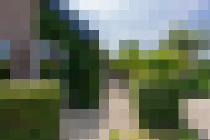 Zuidzijdseweg 192 Polsbroek thumbnail 6