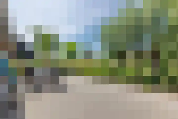 Zuidzijdseweg 192 Polsbroek thumbnail 62