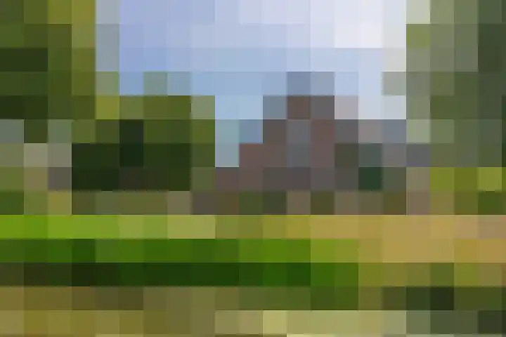 Zuidzijdseweg 192 Polsbroek thumbnail 64
