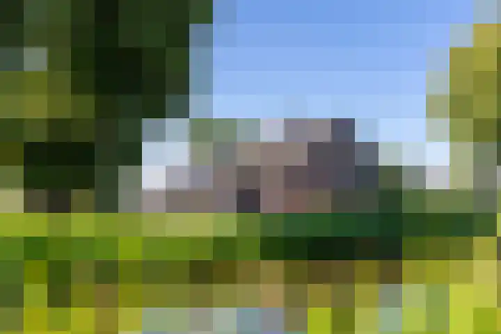 Zuidzijdseweg 192 Polsbroek thumbnail 65