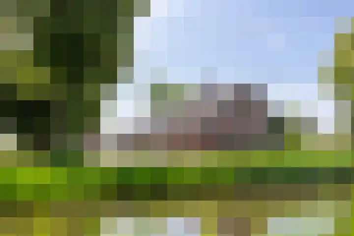 Zuidzijdseweg 192 Polsbroek thumbnail 68