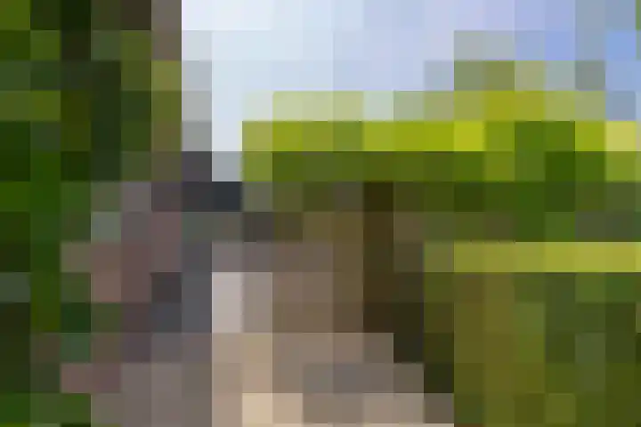 Zuidzijdseweg 192 Polsbroek thumbnail 7