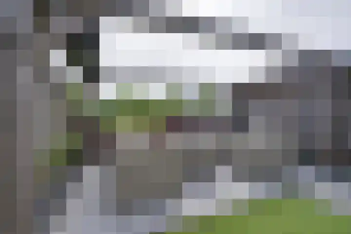 Zuijder Vlaerdinge 108 Heerhugowaard thumbnail 21
