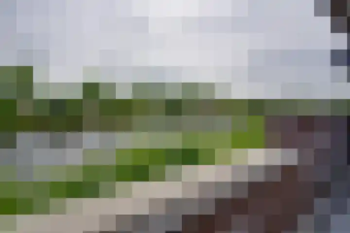 Zuijder Vlaerdinge 108 Heerhugowaard thumbnail 22