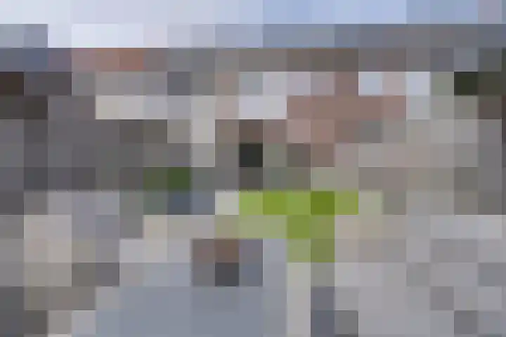 Zuijder Vlaerdinge 108 Heerhugowaard thumbnail 23
