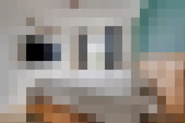 Zuijder Vlaerdinge 108 Heerhugowaard thumbnail 27