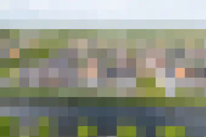 Zuijder Vlaerdinge 108 Heerhugowaard thumbnail 41