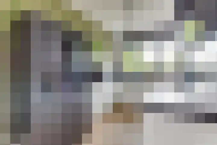 Zuijder Vlaerdinge 15 Heerhugowaard thumbnail 12