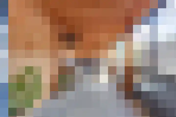 Zuijder Vlaerdinge 15 Heerhugowaard thumbnail 16
