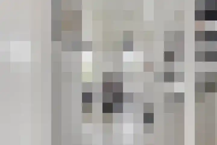 Zuijder Vlaerdinge 15 Heerhugowaard thumbnail 20