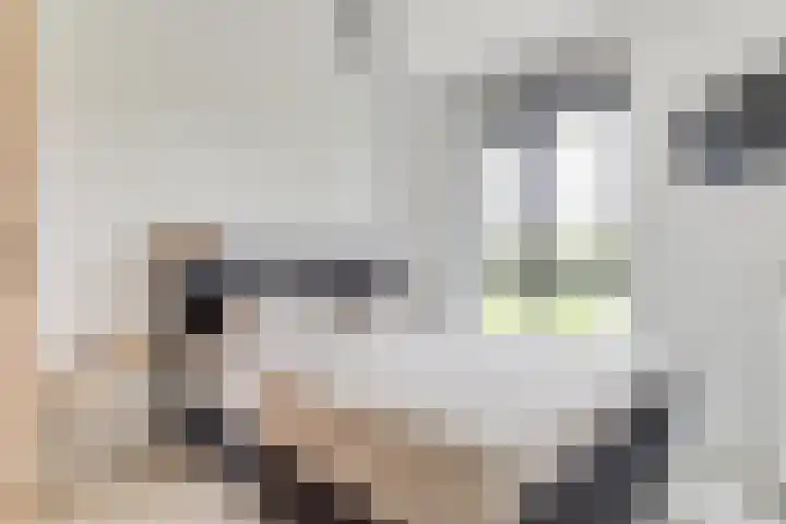 Zuijder Vlaerdinge 15 Heerhugowaard thumbnail 21