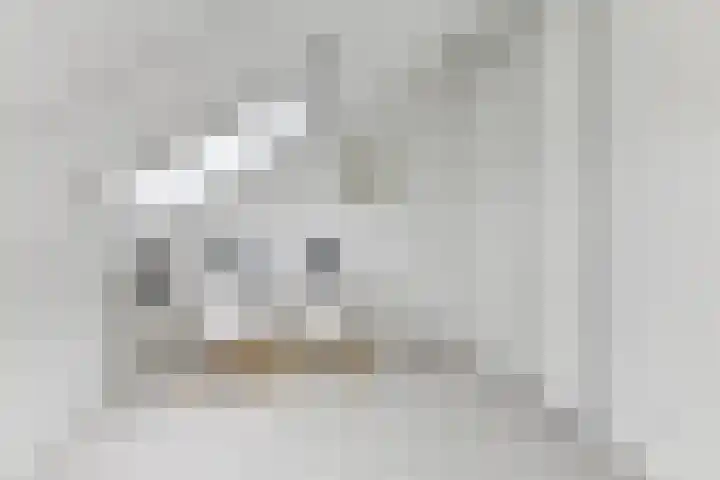 Zuijder Vlaerdinge 15 Heerhugowaard thumbnail 34
