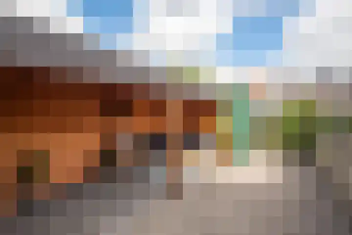 Zuijder Vlaerdinge 15 Heerhugowaard thumbnail 40