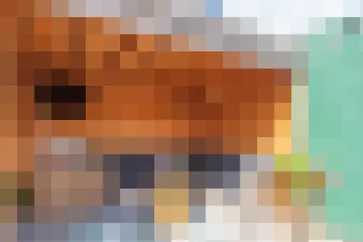 Zuijder Vlaerdinge 15 Heerhugowaard thumbnail 42