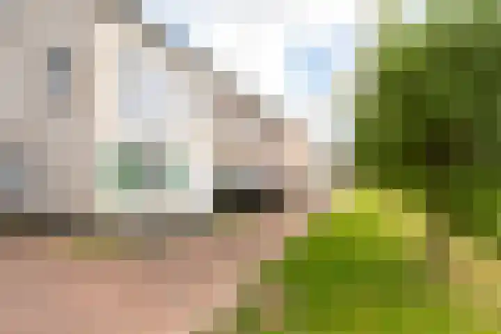 Zuijder Vlaerdinge 15 Heerhugowaard thumbnail 47