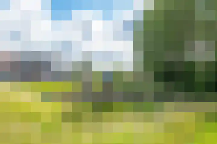 Zuijder Vlaerdinge 15 Heerhugowaard thumbnail 48