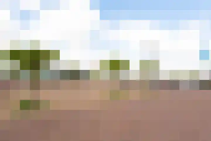 Zuijder Vlaerdinge 15 Heerhugowaard thumbnail 49