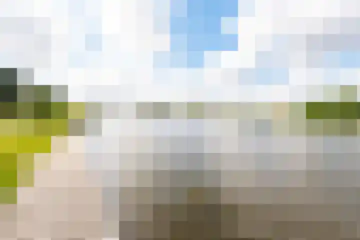 Zuijder Vlaerdinge 15 Heerhugowaard thumbnail 53